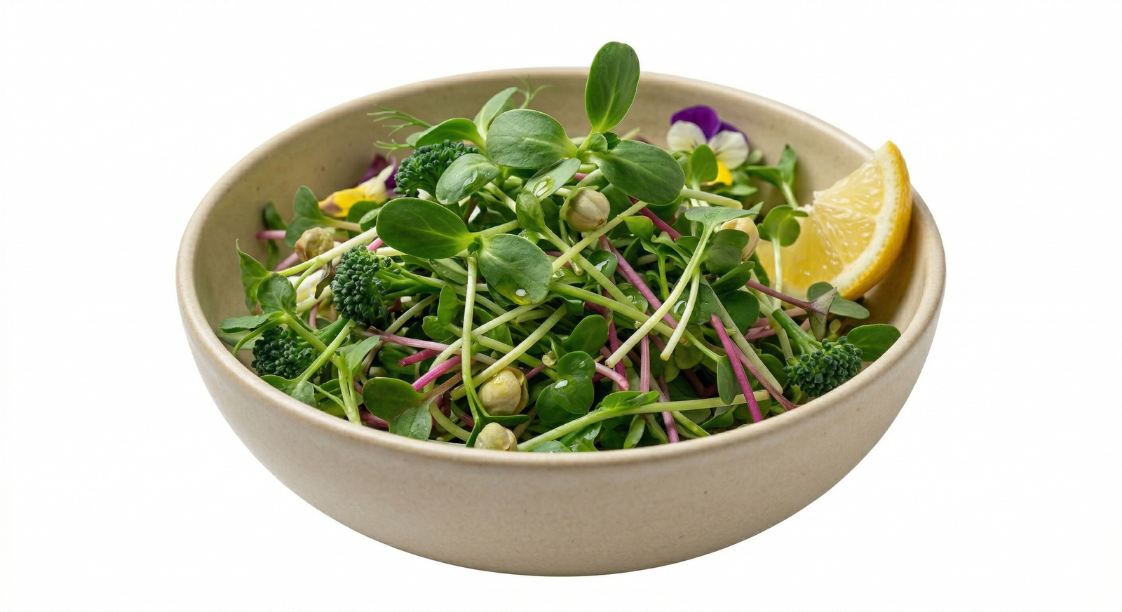Microgreens salad bowl
